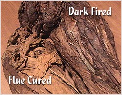 flue Cured and Dark Fired from Coley and Ryan