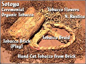 2005sotoya4.jpg (36072 bytes)