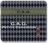 CAO Petite Cameroon