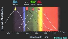 spectrum