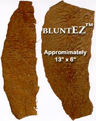 A whole leaf of genuine premium grade cigar tobacco wrapper.